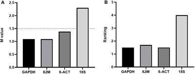 Commentary: Identification of optimal reference genes for gene expression normalization in human osteosarcoma cell lines under proliferative conditions